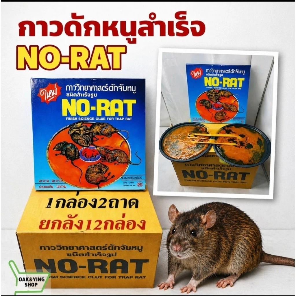 กาวดักหนูวิทยาศาสตร์ ยกโหล12กล่อง 24แผ่น ถูกสุดๆๆๆ