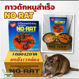 กาวดักหนูวิทยาศาสตร์ ยกโหล12กล่อง 24แผ่น ถูกสุดๆๆๆ