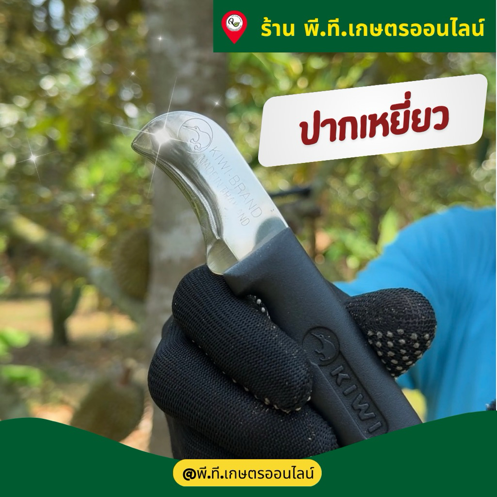 มีดตัดทุเรียนลับคมใช้ตัดทุเรียนได้ทุกชนิดมี2แบบให้เลือก