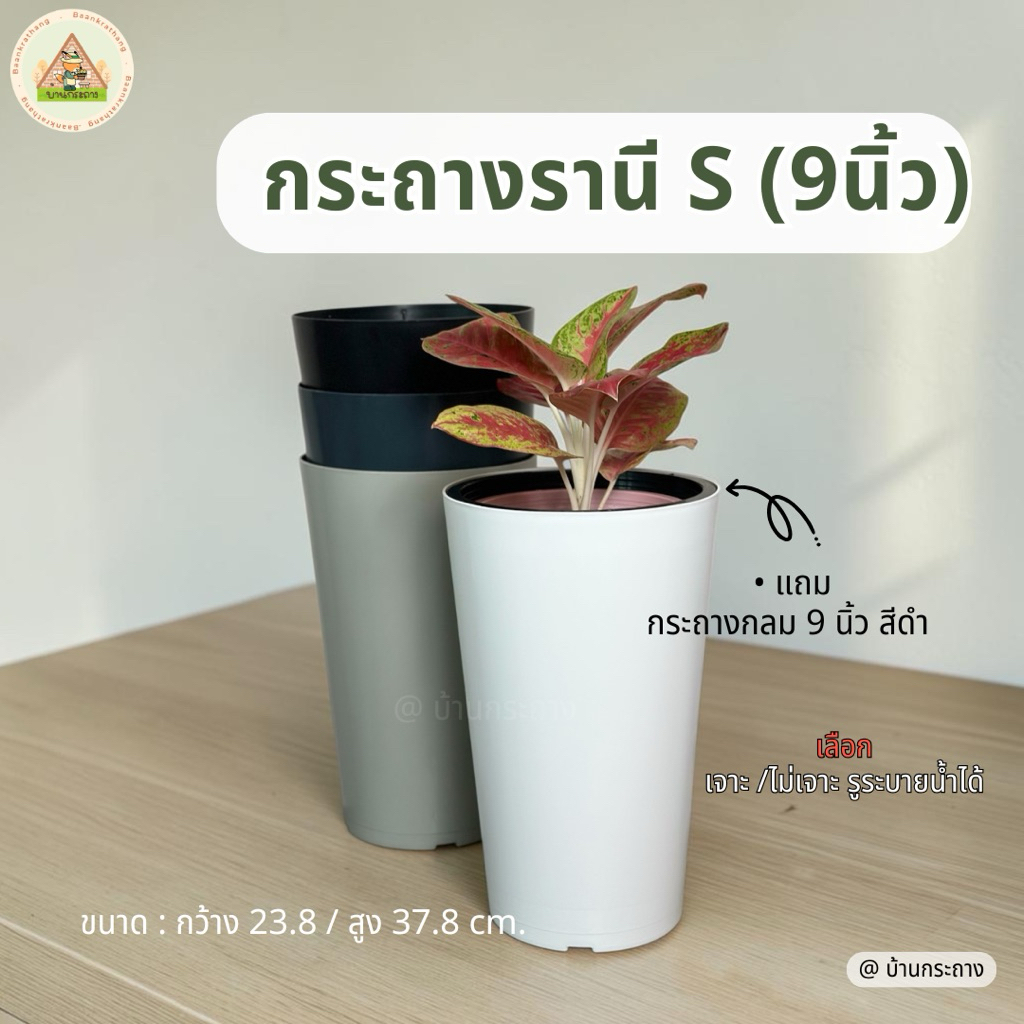 กระถางทรงสูง กระถางรานี 9นิ้ว ทรงสูง  กระถางกลมทรงสูง กระถางโมเดิร์น แถมฟรีกระถางกลมด้านใน