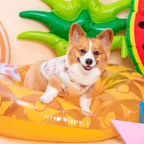 Favchild Pattaya Pet Bodysuit (แขนกุด) | Pool Party Collection