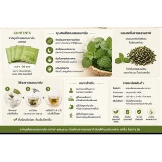 DAHADA พร้อมส่ง ✅ชามิ้นเลม่อน Lemon Balm ช่วยทำให้ผ่อนคลาย หอม ชดชื่น