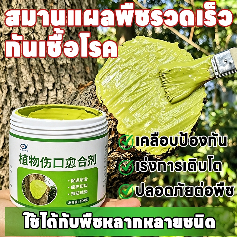 🌳เร่งการสมานแผล🌳ยาทาแผลต้นไม้ ทาแผลต้นไม้ ช่วยให้พืชฟื้นตัวเร็ว ลดเวลาในการรักษาแผล ใช้ได้หลายพืช