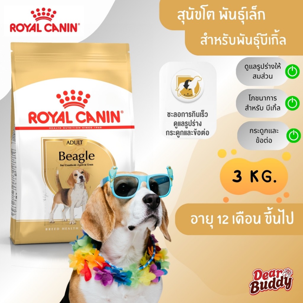 Royal Canin Beagle Adult (โรยัล คานิน) อาหารเม็ด สุนัขโตพันธุ์บีเกิ้ล อายุ 1 ปีขึ้นไป สูตรดูแลรูปร่างและพฤติกรรมการกิน