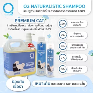 O2 Shampoo แชมพู แมว สูตร Cat, Kitten หรือ Premium Cat กำจัดยีสต์และรา หอมนาน สำหรับแมวทุกสายพันธุ์