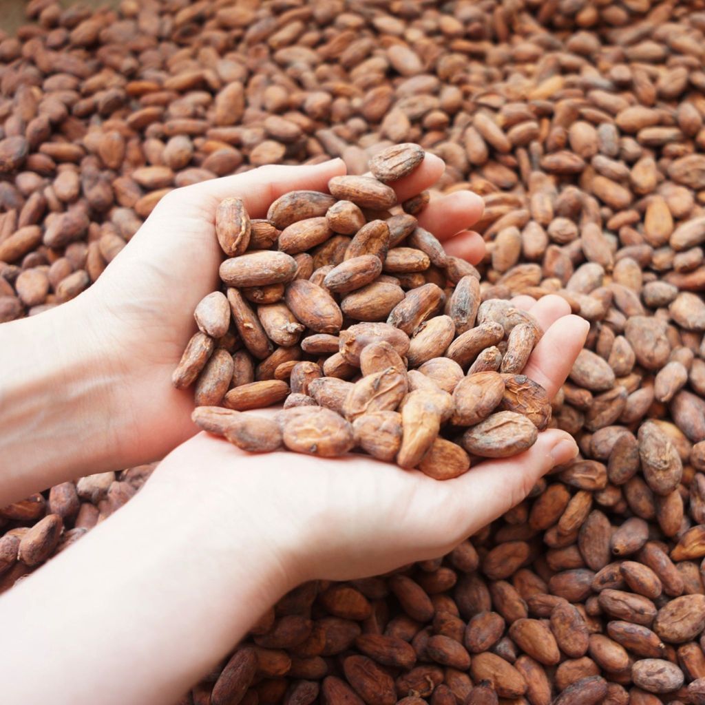 ผงโกโก้ 100% Signature 100% Cocoa Powder รูปที่ 3