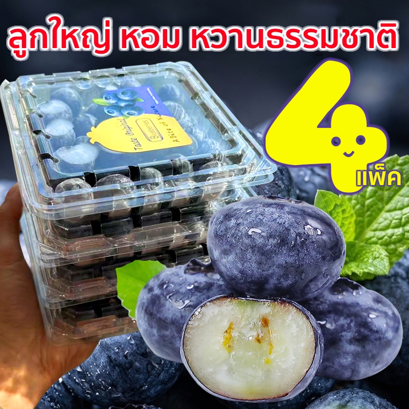บลูเบอร์รี่สด นำเข้า 125G ส่งด่วน ภายใน 2ชม. กลิ่นหอมดอกไม้ หวาน Blueberry (ล็อตใหม่)