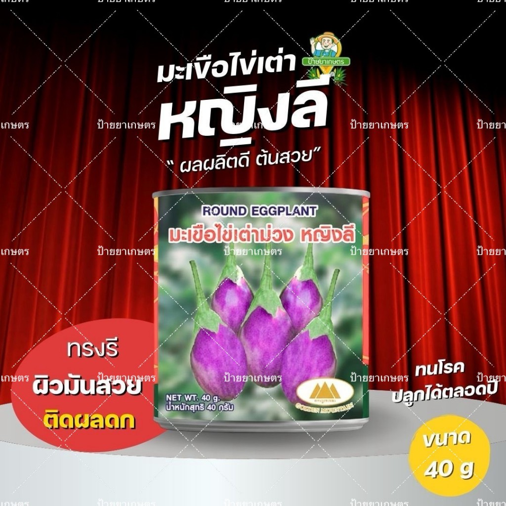 เมล็ดมะเขือไข่เต่าม่วง หญิงลี มะเขือม่วง ตราภูเขาทอง ขนาด 40กรัม