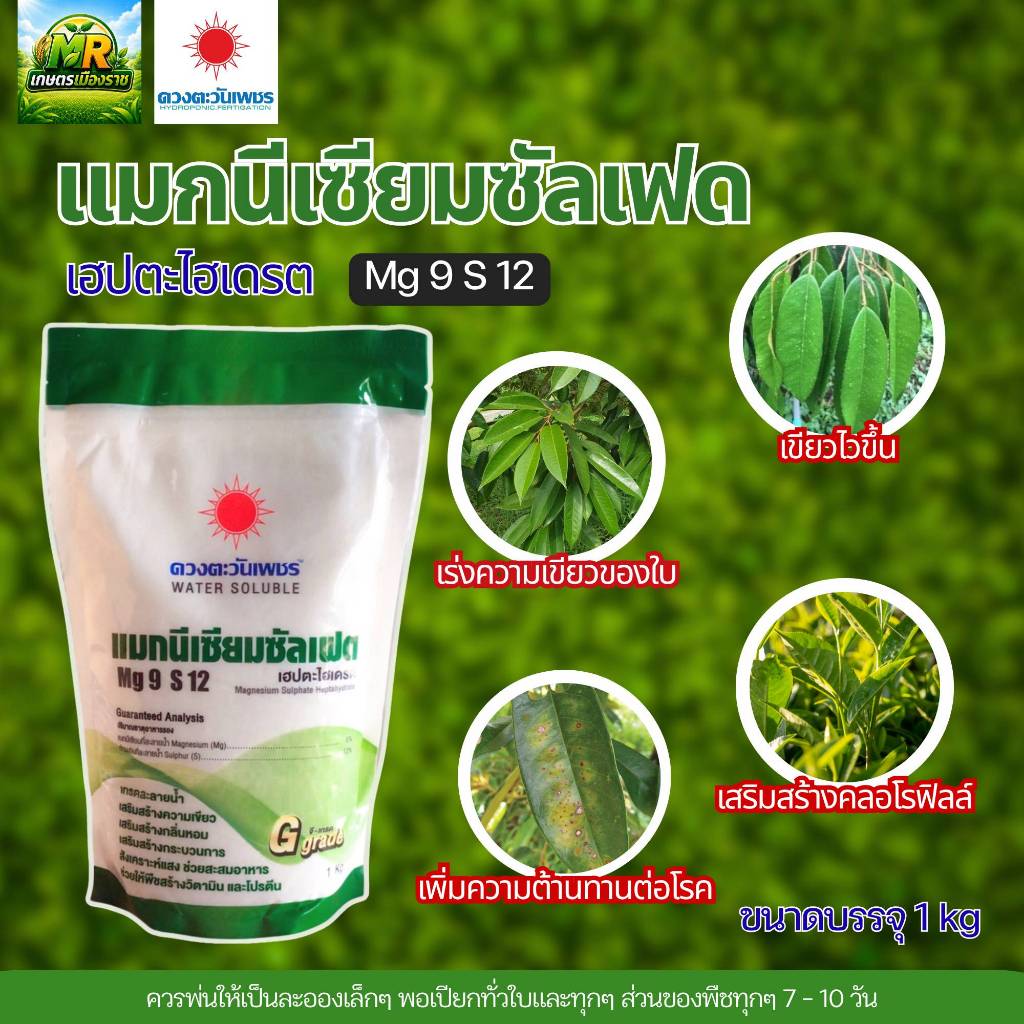 แมกนีเซียมซัลเฟต MgSO4 (แบรนด์) 1 kg (ดวงตะวันเพชร) #เกษตรเมืองราช