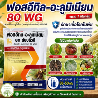 ละลายน้ำง่าย☘️ฟอสอีทิล 80% wG☘️1กิโลกรัม*10 กก (ยกลัง)โรครากเน่าโคนเน่า ผลเน่า ไฟท็อปธอร่า ราน้ำค้าง