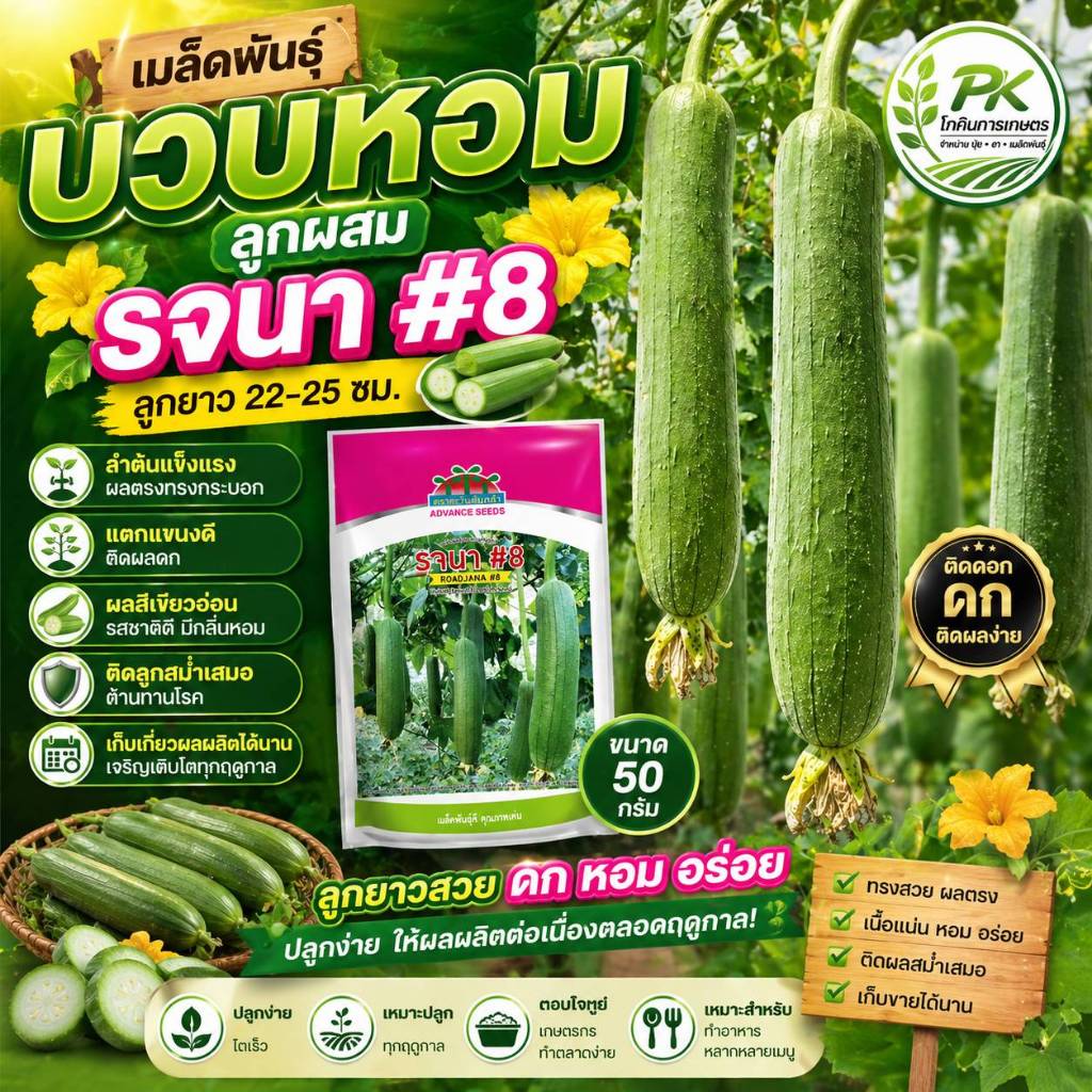เมล็ดพันธุ์บวบหอมรจนา#8 (ตะวันต้นกล้า) ขนาด 50 กรัม