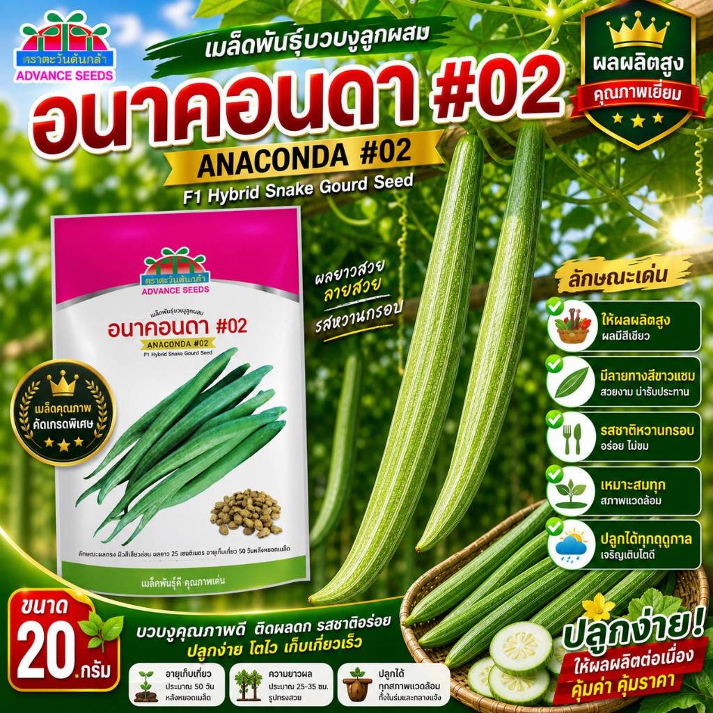 เมล็ดพันธุ์บวบงู อนาคอนดา #02 ขนาด 20 กรัม