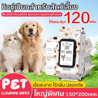 ทิชชู่เปียกสัตว์เลี้ยง แผ่นใหญ่ ขจัดกลิ่น PET WIPES 1แพ็ค 120แผ่น เช็ดคราบได้สะอาด น้องสุนัข แมว