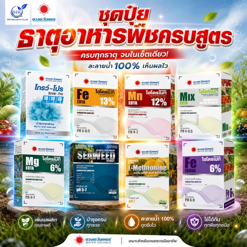 ปุ๋ยธาตุรอง รูปแบบคีเลต ขนาด 1 กิโลกรัม (บ.ดวงตะวันเพชร)