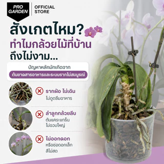Progarden เซ็ทคู่บำรุงกล้วยไม้ [Orchid Grow + Bloom] เพิ่มช่อดอก ลำลูกกล้วยอวบใหญ่ รากขาว ใบเขียวหนา ปุ๋ยกล้วยไม้ อะมิโน