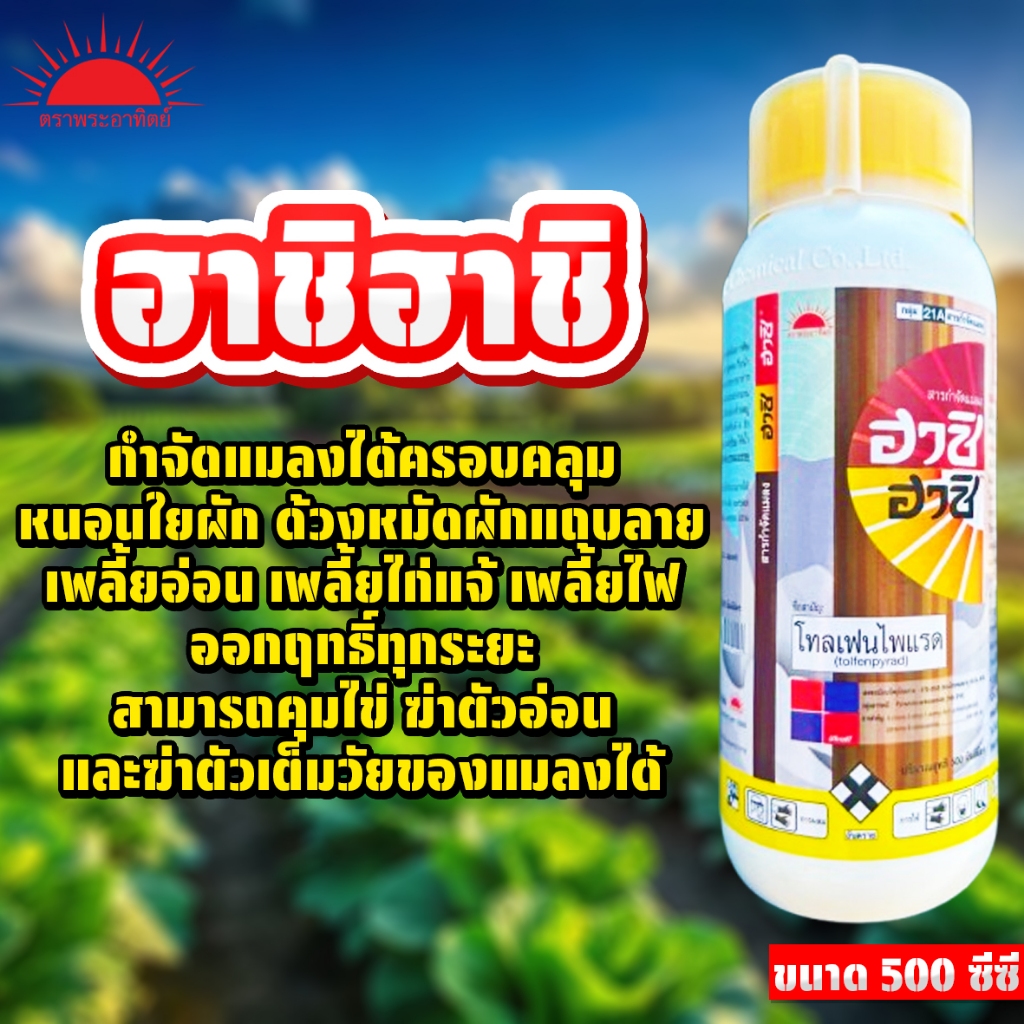 ฮาชิ ฮาชิ ขนาด 500 ซีซี โทลเฟนไพแรด กำจัดหนอนใยผัก ด้วงหมัด เพลี้ยไก่แจ้ เพลี้ยไฟ