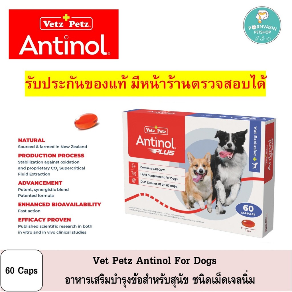Antinol Dogs อาหารเสริม บำรุงข้อ สำหรับสุนัข 60เม็ด