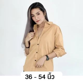 takayay brand เสื้อเชิ๊ต สีพื้นเบสิค-สีเอิร์ธโทน **เช็คขนาดจากตางรางไซซ์ของทางร้านเท่านั้น** เสื้อเชิ้ตทำงาน ผ้าคอตตอนทว