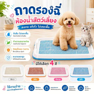 Thai.Th ห้องน้ำสุนัข แผ่นรองฉี่สุนัข ถาดรองฉี่สุนัข ห้องน้ำสัตว์เลี้ยง ถาดรองฉี่สัตว์เลี้ยง #CF-T1(มีราคาส่ง)