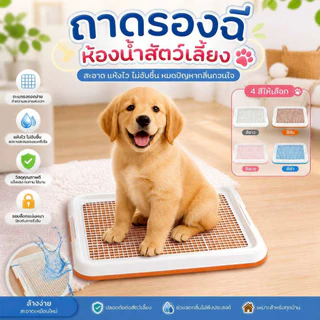 Thai.Th ห้องน้ำสุนัข แผ่นรองฉี่สุนัข ถาดรองฉี่สุนัข ห้องน้ำสัตว์เลี้ยง ถาดรองฉี่สัตว์เลี้ยง #CF-T1(มีราคาส่ง)