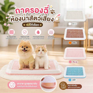 Thai.Th ห้องน้ำสุนัข แผ่นรองฉี่สุนัข ถาดรองฉี่สุนัข ห้องน้ำสัตว์เลี้ยง ถาดรองฉี่สัตว์เลี้ยง #CF-T1(มีราคาส่ง)