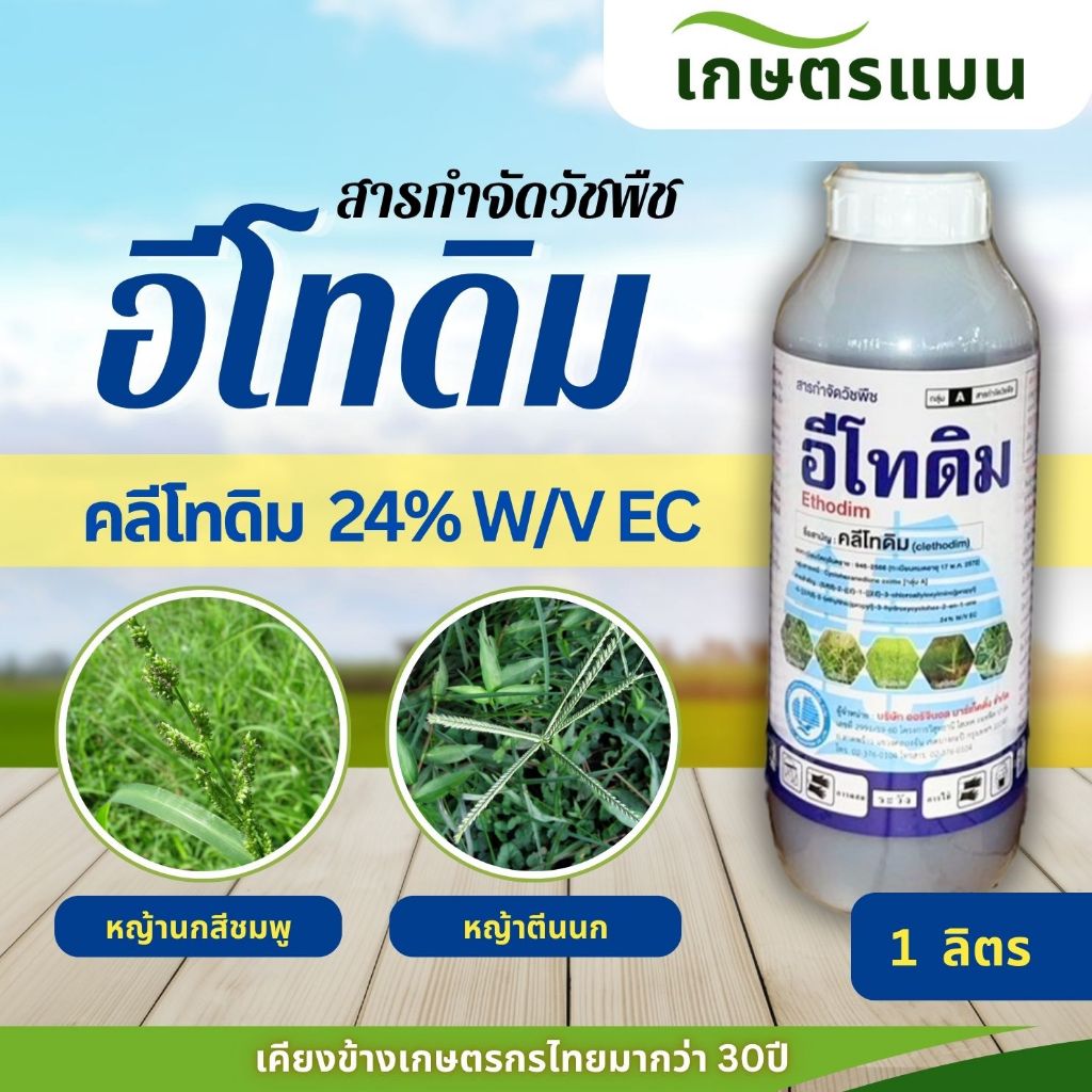 อีโทดิม 1 ลิตร สารกำจัดหญ้าใบแคบ คลีโทดิม 24% ฉีดพ่นทับพืชใบกว้างได้ ผสมไกลโฟเสตฆ่าหญ้าปากควาย