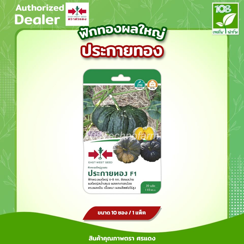 ผักซอง เมล็ดพันธุ์ ฟักทองประกายทอง ตราศรแดง