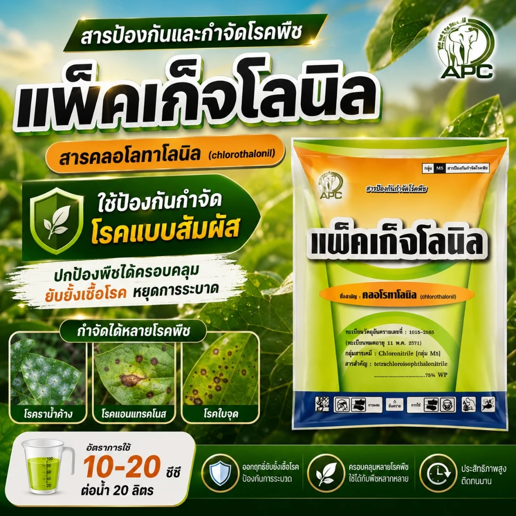 คลอโรทาโลนิล75% ( 100g ) ใช้ป้องกันกำจัดโรคพืช เชื้อรา โรคใบจุด โรคราน้ำค้าง โรคราสนิม โรคกุ้งแห้ง