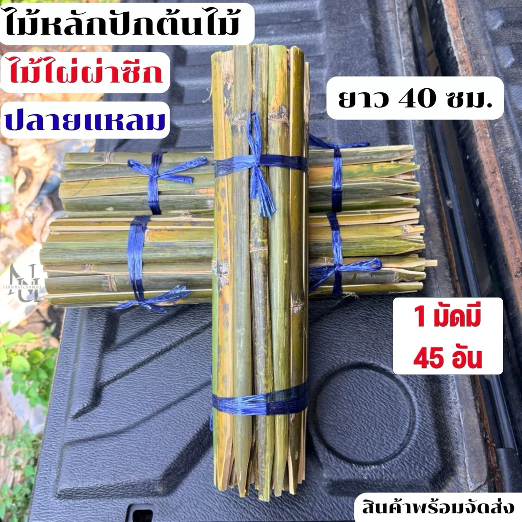 ไม้ไผ่ผ่าซีก ไม้หลักปักต้นไม้ ไม้หลักยึดต้นไม้ ปลายแหลม ยาว 40 ซม. (1 มัดมี 45 อัน) ช่วยพยุงต้นไม้ไม่ให้ล้ม