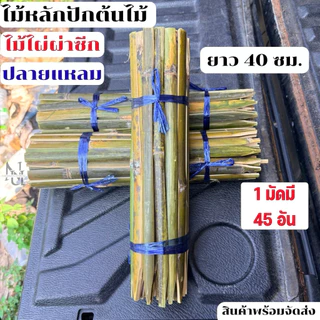 ไม้ไผ่ผ่าซีก ไม้หลักปักต้นไม้ ไม้หลักยึดต้นไม้ ปลายแหลม ยาว 40 ซม. (1 มัดมี 45 อัน) ช่วยพยุงต้นไม้ไม่ให้ล้ม