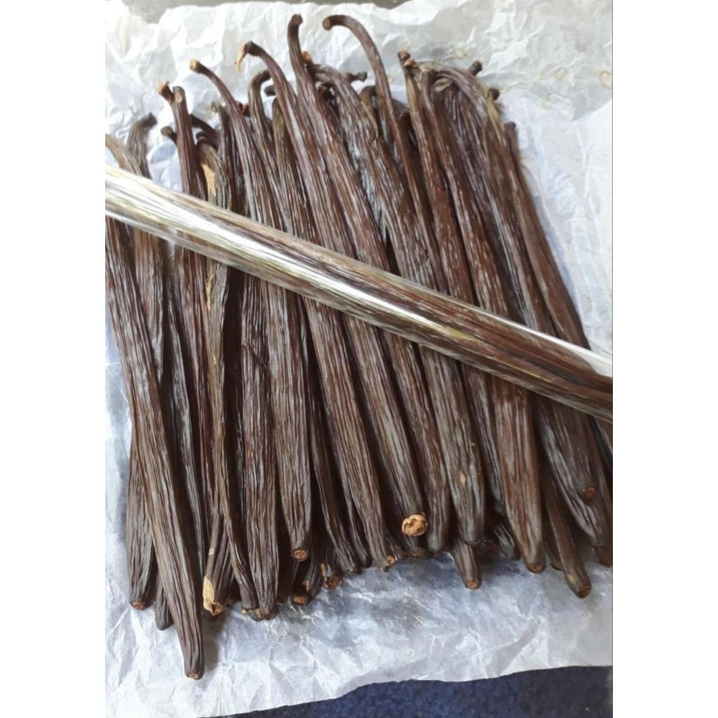 Vanilla Beans ฝักวานิลลา  กลิ่นหอม ยาว 14-17cm. จำนวน 5ฝัก/หลอด