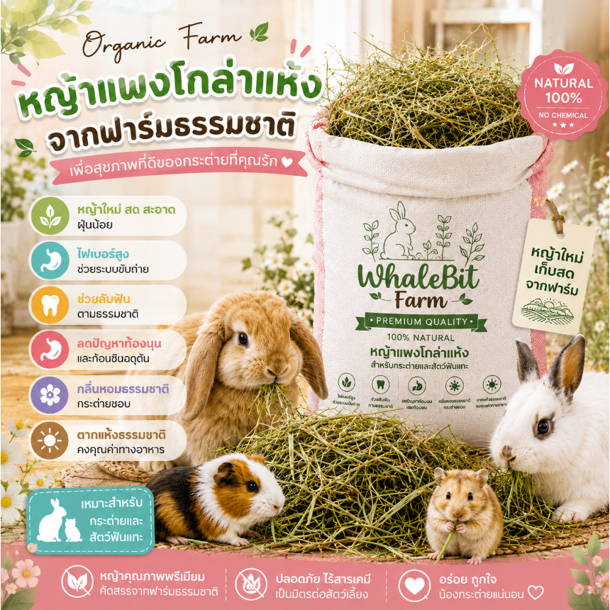 หญ้าแพงโกล่า ร่อนฝุ่น 2กิโลกรัม เกรดA หญ้ากระต่าย
