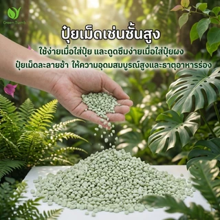 【GreenThumb】เฟอร์รัสซัลเฟต 250 กรัม ปรับสภาพดิน ลดความเป็นด่าง บำรุงธาตุเหล็ก ป้องกันใบเหลือง ใช้ได้กับไม้ใบ ไม้กระถาง