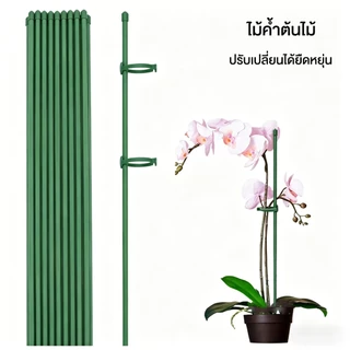 【COD】ไม้ค้ำต้นไม้ รูปพืช ตัวยึด / ตัวยึด ป้องกันการนอนหลับ ฟาเลนอปซี ดอกไม้ รองรับ / ตัวยึด ก้านเดี่ยว สําหรับในร่ม สวน