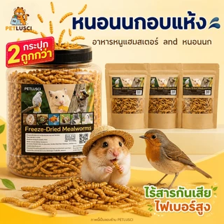 หนอนนกอบแห้ง หนอนอาหาร 1300ML โปรตีนสูง หนอนอบแห้ง สำหรับแฮมสเตอร์ เม่น กระรอก นก | Dried Mealworms