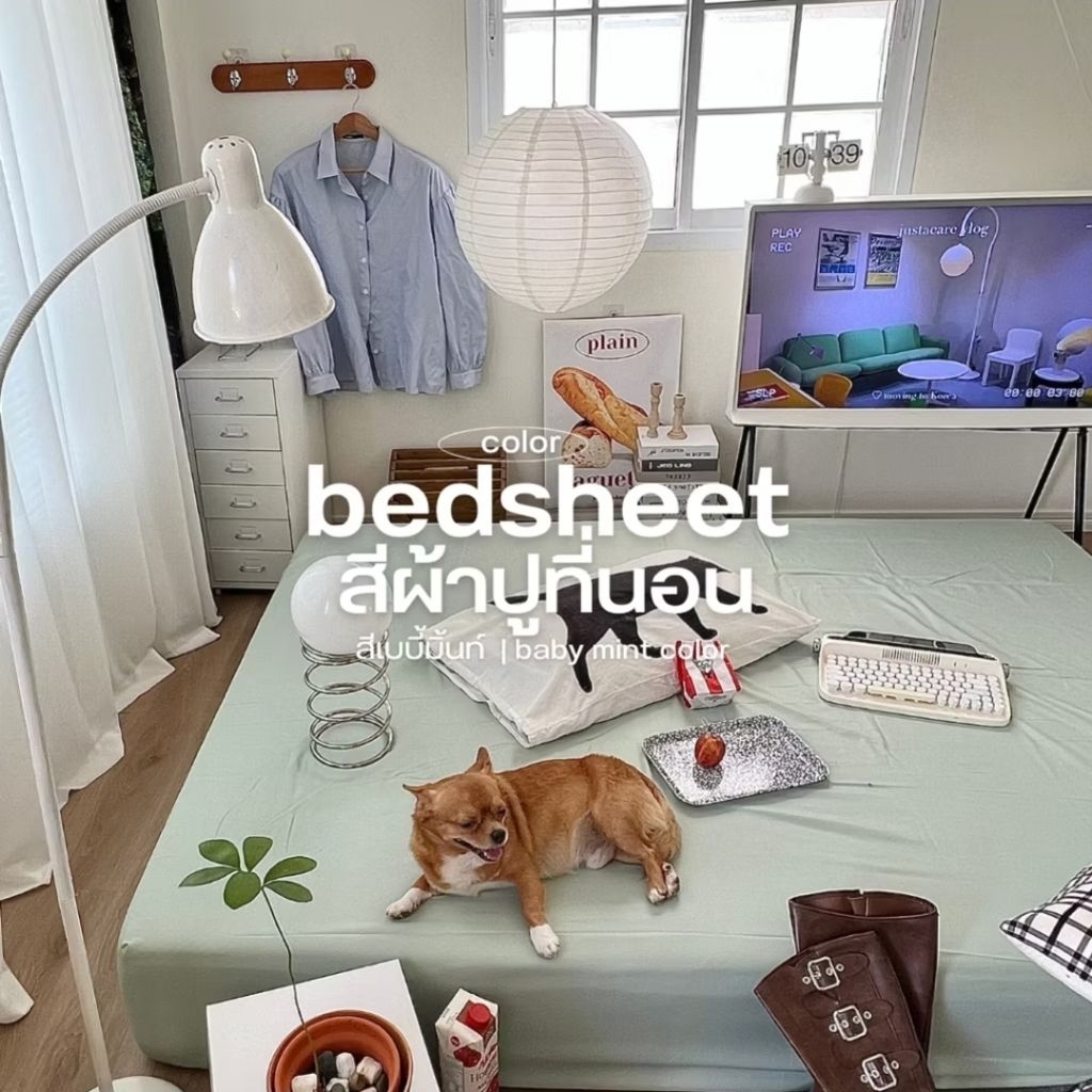 Thumbnail 7