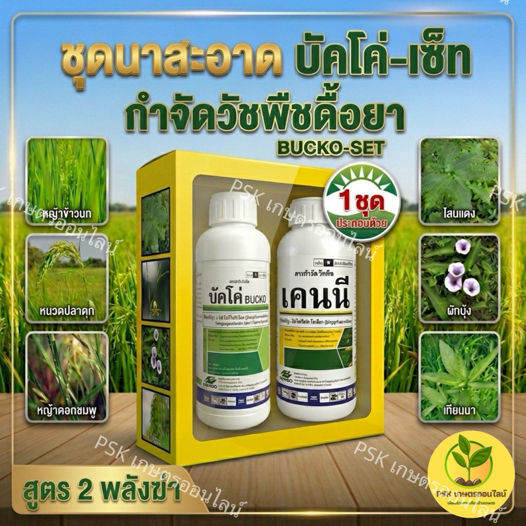 บัคโค่-เซ็ท กำจัดวัชพืชดื้อยาในนาข้าว 1 ชุดกำจัดได้ 3-4 ไร่
