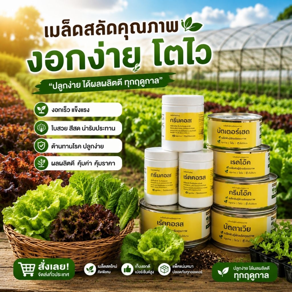 เมล็ดผักสลัด เมล็ดแบบเคลือบ ชุด 20 เมล็ด 20 บาท ☘️☘️