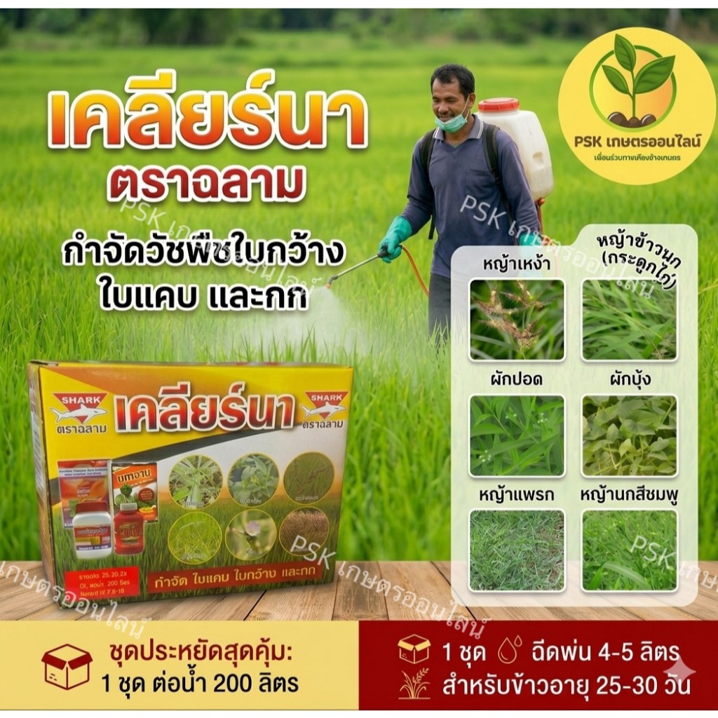 เคลียร์นา (ฉีดพ่น 4-5 ไร่) ยาเก็บหญ้าใบแคบ-ใบกว้าง ใช้กับนาข้าวอายุ 15-30 วัน