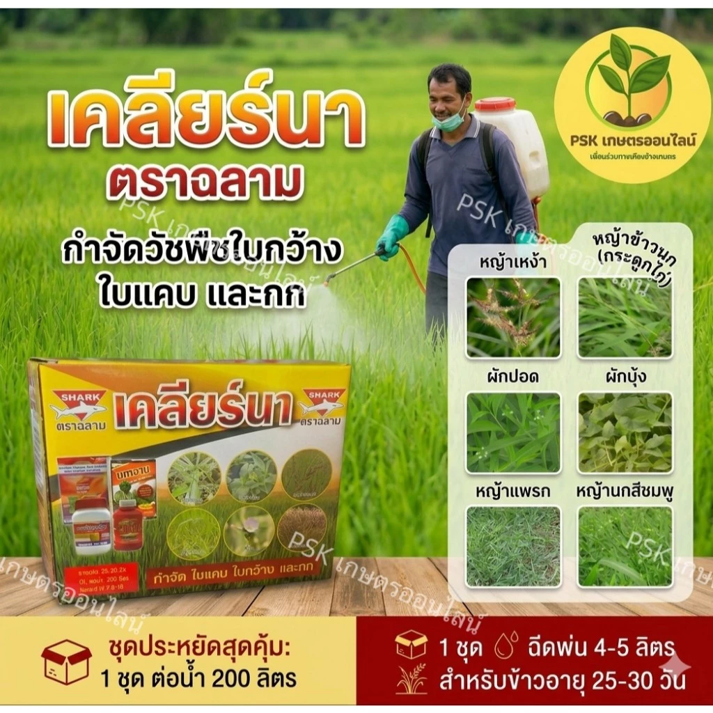 เคลียร์นา (ฉีดพ่น 4-5 ไร่) ยาเก็บหญ้าใบแคบ-ใบกว้าง ใช้กับนาข้าวอายุ 15-30 วัน