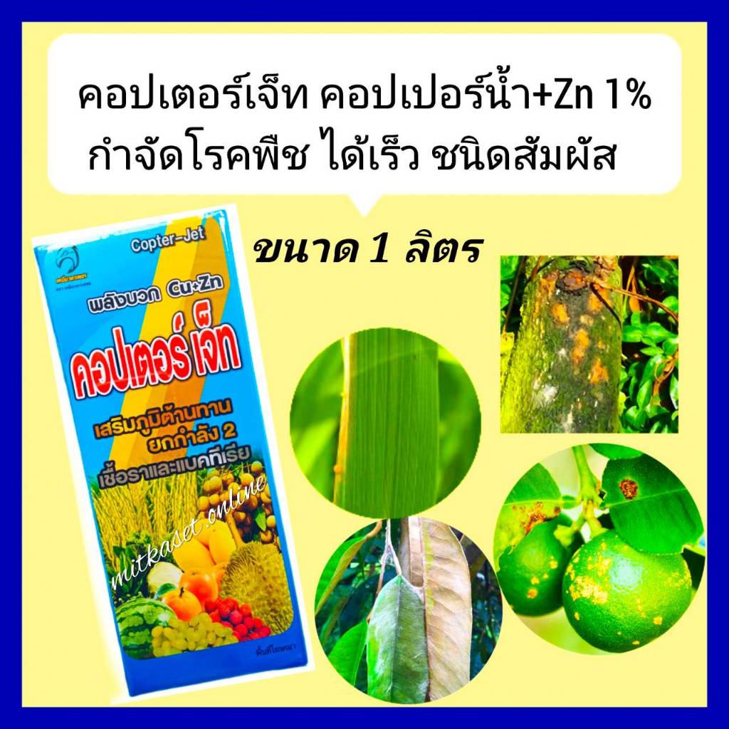 คอปเปอร์ คอปเปอร์น้ำ น้ำสีน้ำเงิน คอปเตอร์เจ็ท ขนาด1ลิตรกำจัดเชื้อราแบคทีเรีย โรคใบติด ใบไหม้ ใบจุดสาหร่าย โรคแคงเกอร์