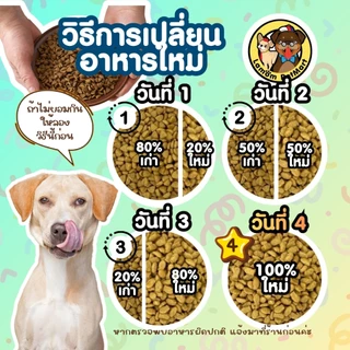 (20 KG.)(FT21) อาหารสุนัข BOKDOK รสเนื้อและไก่ โปรตีน18% ไม่เติมเกลือ ดีต่อขนและผิวหนัง ลำไส้ดี