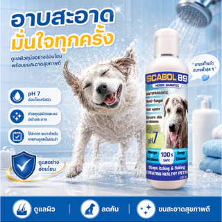 แชมพูสุนัข แก้คัน เชื้อรา ขนร่วง หยุดเกา Scabol 89 ลดกลิ่น ผิวแข็งแรง อ่อนโยน 240ml