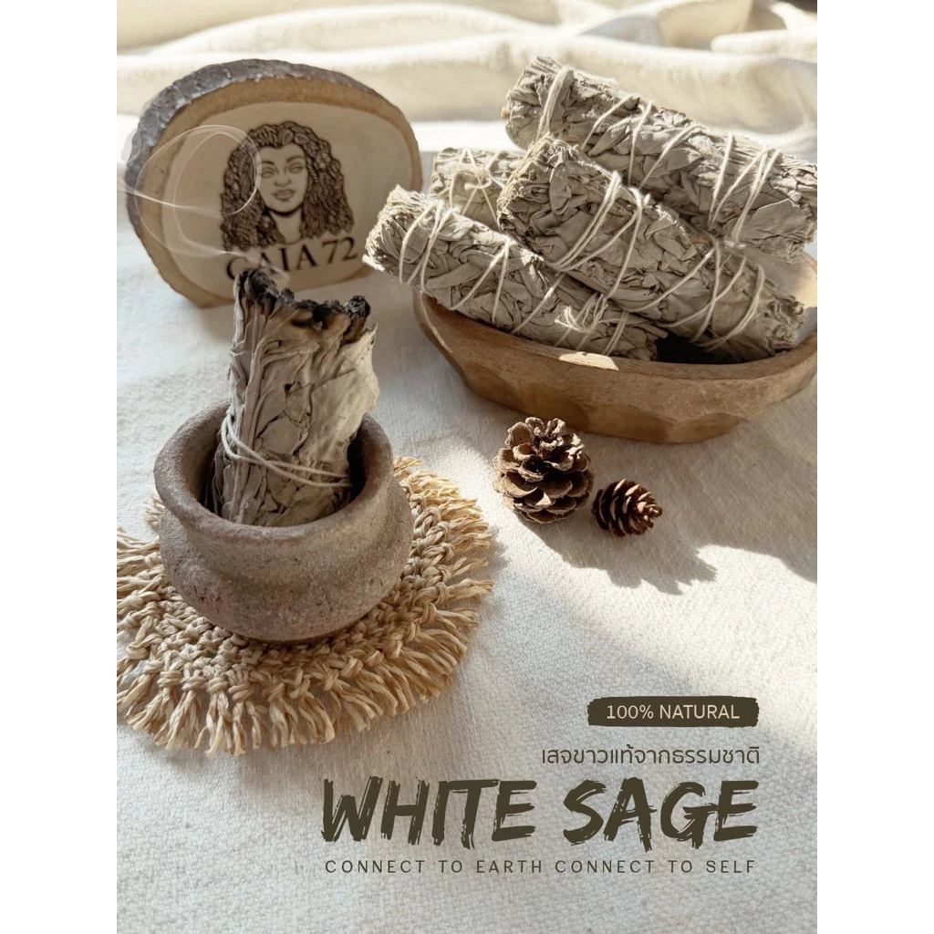 พร้อมส่ง ถ่ายจากสินค้าจริง Califonia White Sage ไวท์เสจ
