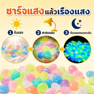 Siam หินเรืองแสง หินกรวดตกแต่งสวน แต่งตู้ปลา กระถางต้นไม้ เรืองแสงในที่มืด สีสวย ใช้งานง่าย พร้อมส่ง COD
