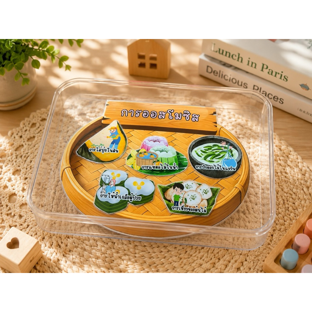 สื่อการสอนวิทยาศาสตร์ "เข่งขนมไทยจำลอง" (การแพร่ & การออสโมซิส)