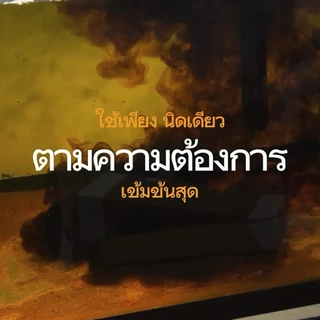 BC น้ำหมักปลาช่อนข้าหลวง สูตรจากอินโด เร่งสีสัน ลดเครียด ช่วยสมานแผล เข้มข้นขั้นสุด ใช้ได้กับทุกสี