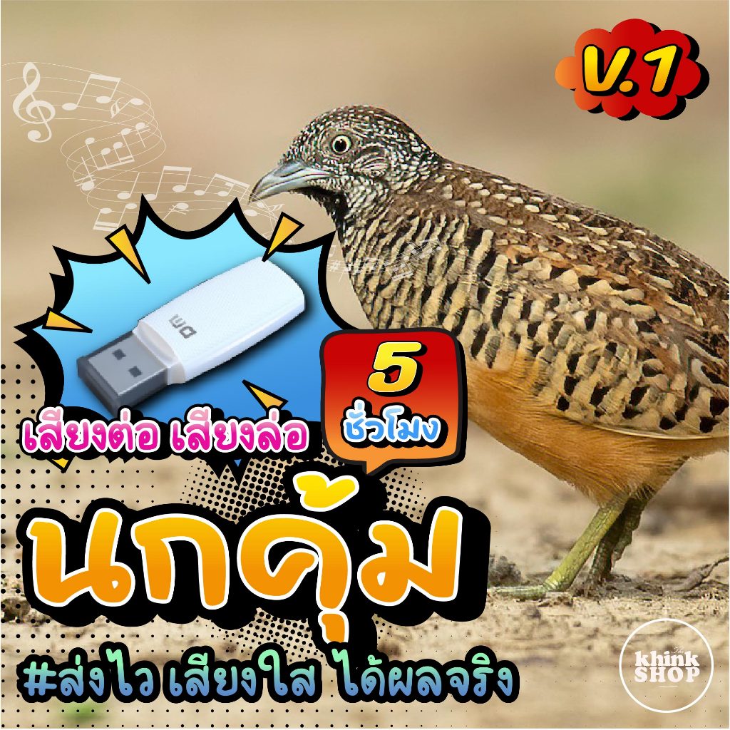 เสียงนกคุ้ม V.1 แฟลชไดรฟ์ เมม ไม่มีโฆษณาแทรก มีเก็บเงินปลายทาง