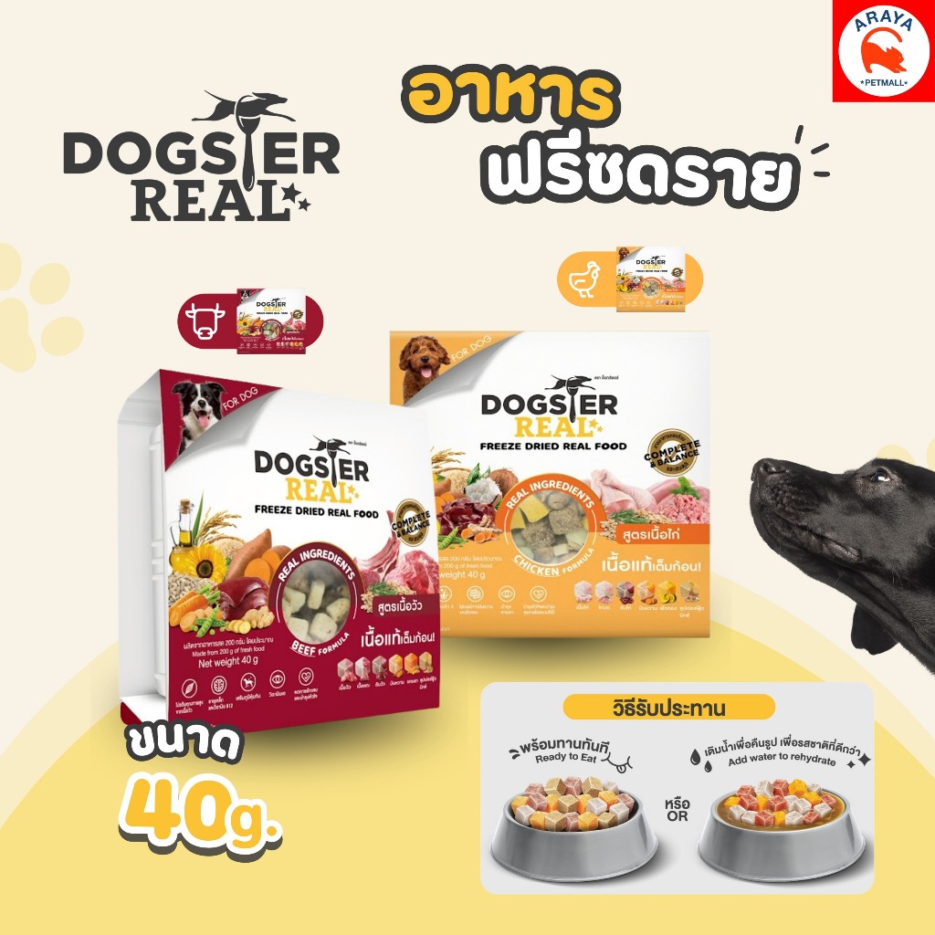 *40g.* Dogster Real ด็อกสเตอร์ เรียล อาหารฟรีซดรายสารอาหารครบถ้วนและสมดุล สำหรับสุนัข