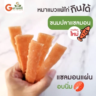 Get Well แซลมอนแผ่น อบนิ่ม ไม่ปรุงรส ขนมสำหรับสุนัขแพ้ไก่ แพ้กลูเตน ขนมแมว ขนมสุนัข ขนมหมา